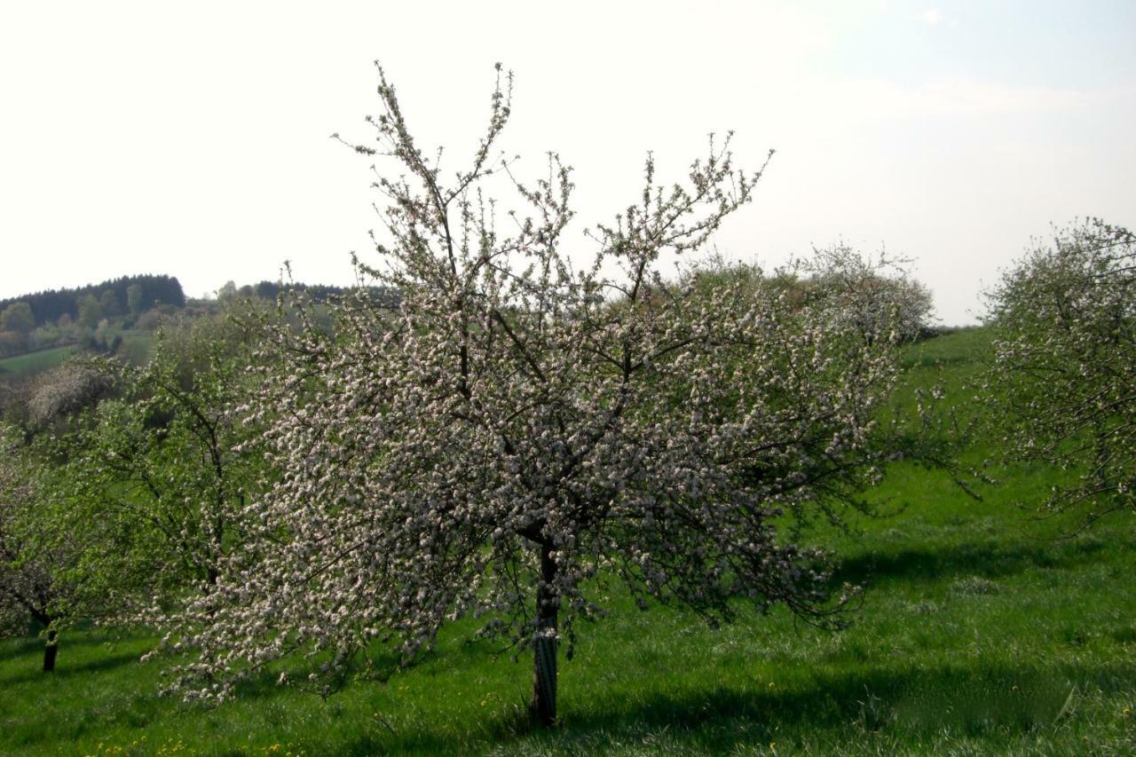 Ferienwohnung Kuhn Rhumspringe Bagian luar foto